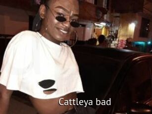 Cattleya_bad