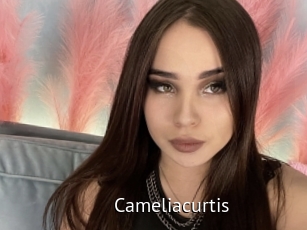 Cameliacurtis