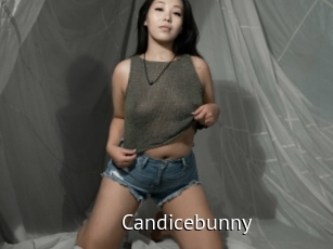 Candicebunny