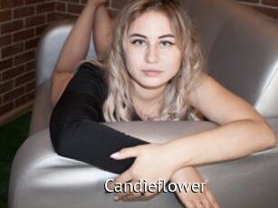 Candieflower