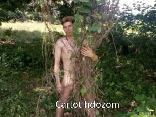 Carlot_hdozom