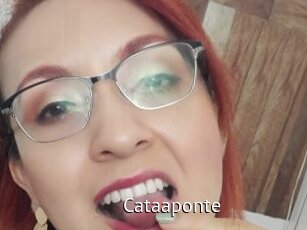 Cataaponte