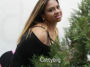 Cattybig