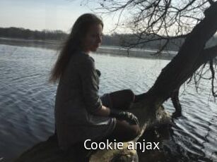 Cookie_anjax