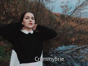 Crammybrie