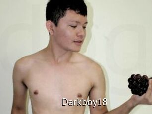 Darkboy18