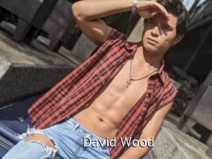 David_Wood