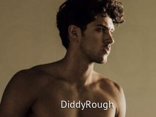 DiddyRough