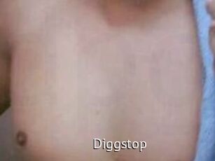 Diggstop