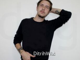 DitrihWild