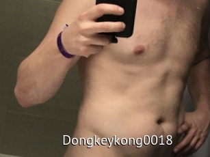 Dongkeykong0018