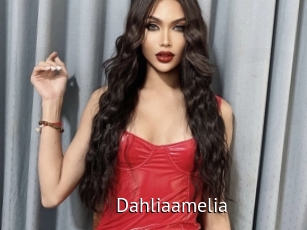 Dahliaamelia