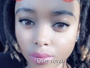 Daisy_royal