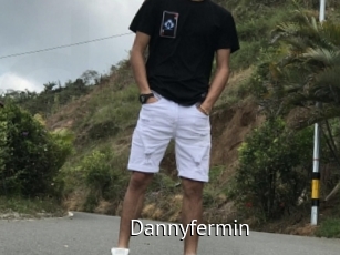 Dannyfermin