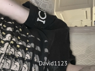 David1123