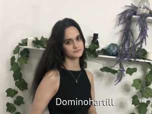 Dominohartill