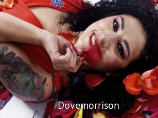 Dovemorrison