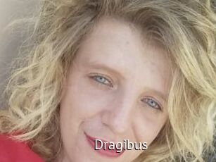 Dragibus