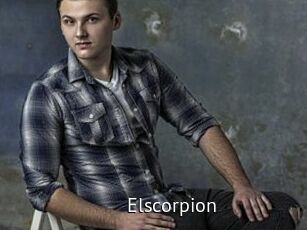 Elscorpion