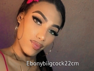 Ebonybiigcock22cm