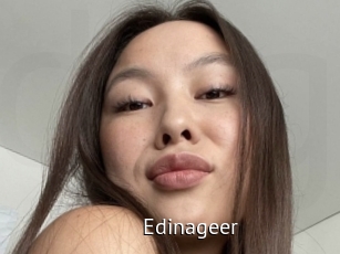 Edinageer