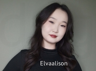 Elvaalison