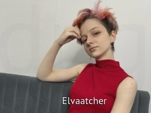 Elvaatcher