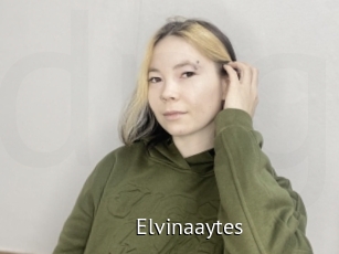 Elvinaaytes