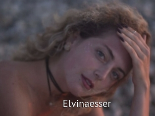 Elvinaesser