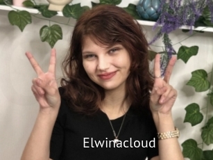 Elwinacloud