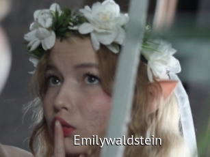 Emilywaldstein