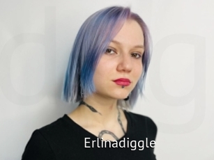 Erlinadiggle