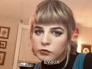 Evalix