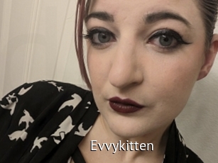 Evvykitten