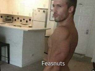 Feasnuts