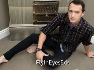 FlyInEyesEds