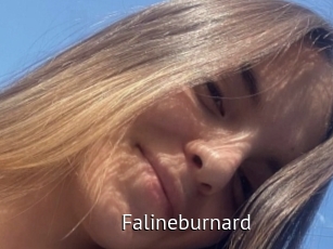 Falineburnard