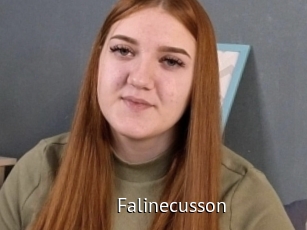 Falinecusson