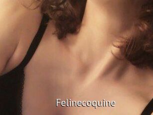 Felinecoquine