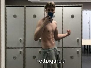 Fellixgarcia