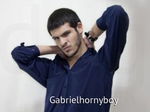 Gabrielhornyboy