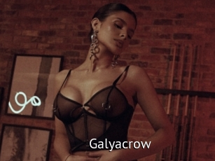 Galyacrow