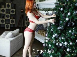 Gingerliza