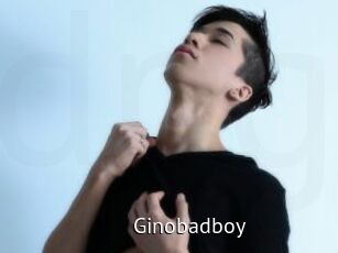 Ginobadboy