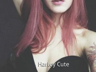 Harley_Cute