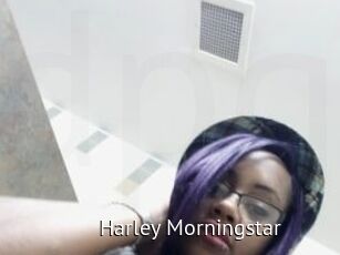 Harley_Morningstar