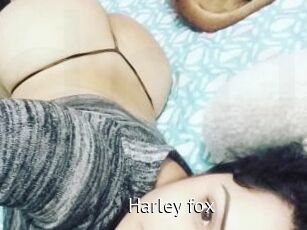 Harley_fox