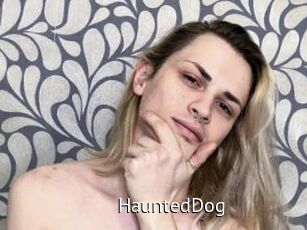 HauntedDog