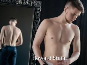 Howard_Stein