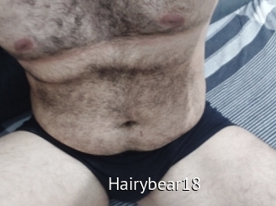 Hairybear18